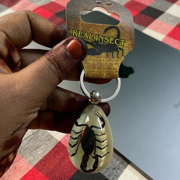 Real insect key chain - Picture 5 of 7